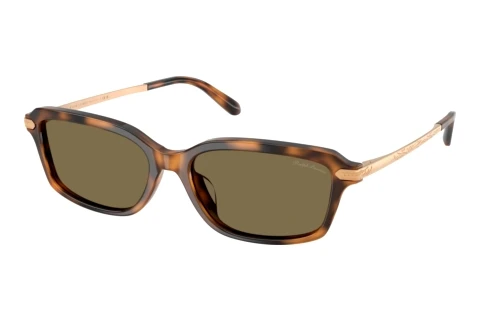 Sonnenbrille Ralph Lauren RL8245U 608973