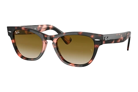 Sonnenbrille Ray-Ban LARAMIE (RB2201 133451)