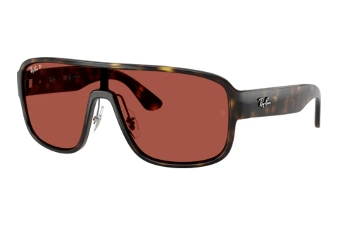 Sonnenbrille Ray-Ban RB2229 710/1B