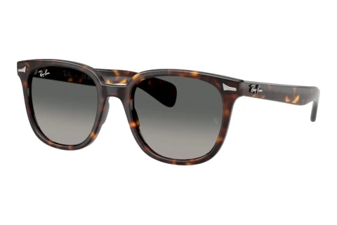 Sonnenbrille Ray-Ban BRUNEL II (RB2235 902/71)