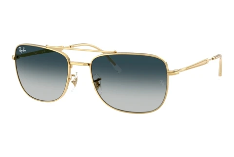 Sonnenbrille Ray-Ban RB3755 920132