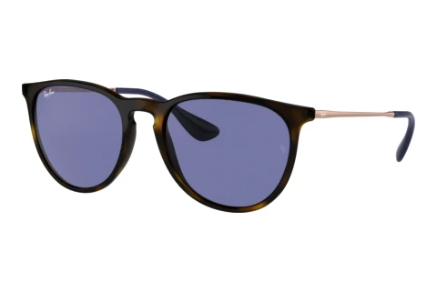 Sonnenbrille Ray-Ban ERIKA (RB4171 639276)