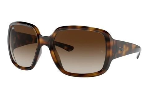 Sonnenbrille Ray-Ban POWDERHORN (RB4347 710/13)