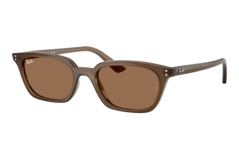 Sonnenbrille Ray-Ban ZAYA (RB4456 677973)