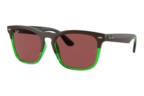 Sonnenbrille Ray-Ban STEVE (RB4487 663469)