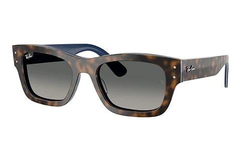 Sonnenbrille Ray-Ban JOSEPH (RB7683S 140171)
