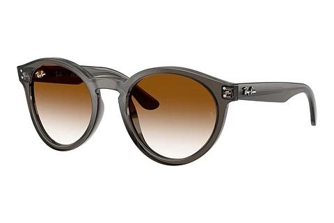 Sonnenbrille Ray-Ban RBR0505S 6707CB