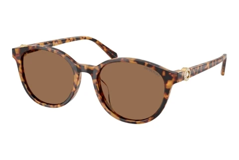 Sonnenbrille Swarovski SK6075D 104073
