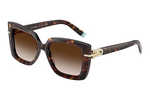 Sonnenbrille Tiffany TF4199 80153B