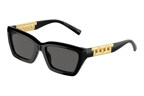 Sonnenbrille Tiffany TF4213 8001S4