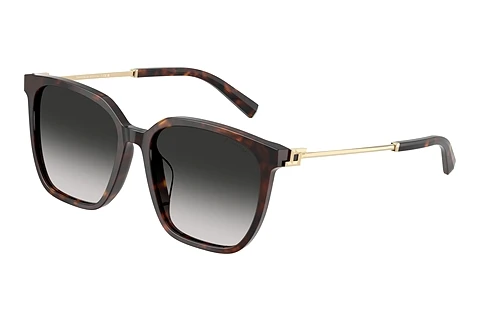 Sonnenbrille Tiffany TF4244D 80153C