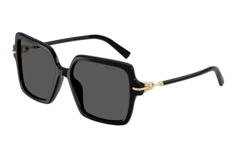 Sonnenbrille Tiffany TF4260U 8001S4
