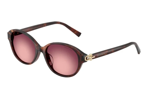 Sonnenbrille Tiffany TF4263D 84218H