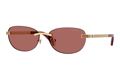 Sonnenbrille Versace VE2307 152369