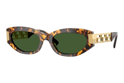 Sonnenbrille Versace VE4501 551471