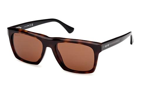 Sonnenbrille Web Eyewear WE0350 55E