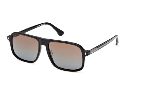 Sonnenbrille Web Eyewear WE0396 05F