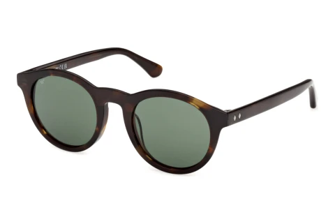 Sonnenbrille Web Eyewear WE0398 52N