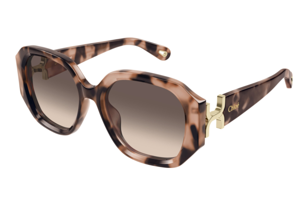Sonnenbrille Chloé CH0236S 005