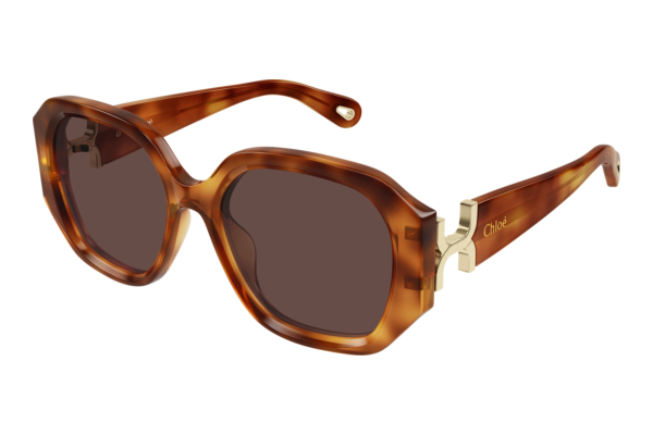 Sonnenbrille Chloé CH0236S 006