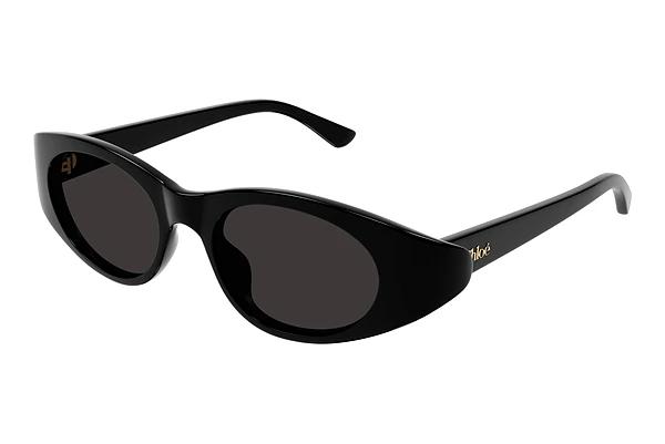 Sonnenbrille Chloé CH0279S 001