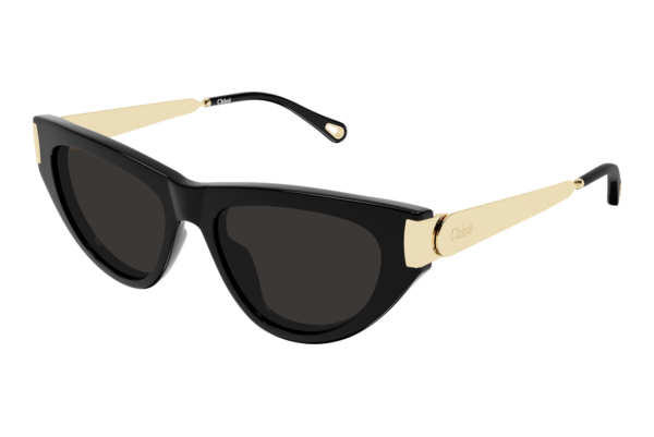 Sonnenbrille Chloé CH0350S 001
