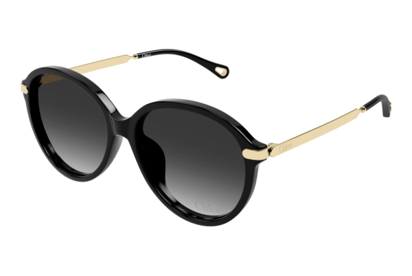 Sonnenbrille Chloé CH0358SK 001