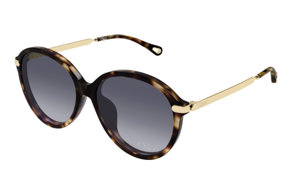 Sonnenbrille Chloé CH0358SK 002