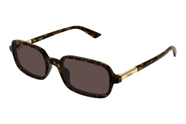 Sonnenbrille Chloé CH0363S 002