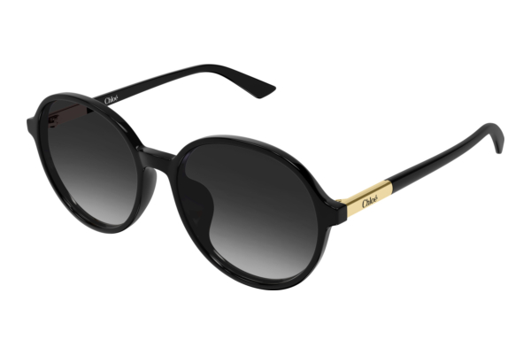 Sonnenbrille Chloé CH0365SK 001