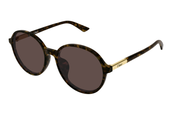 Sonnenbrille Chloé CH0365SK 002