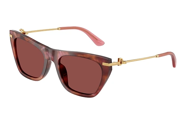 Sonnenbrille Dolce & Gabbana DG4511 344475