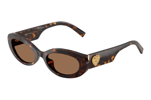 Sonnenbrille Dolce & Gabbana DG4537 502/73