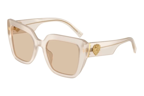 Sonnenbrille Dolce & Gabbana DG4538 342093