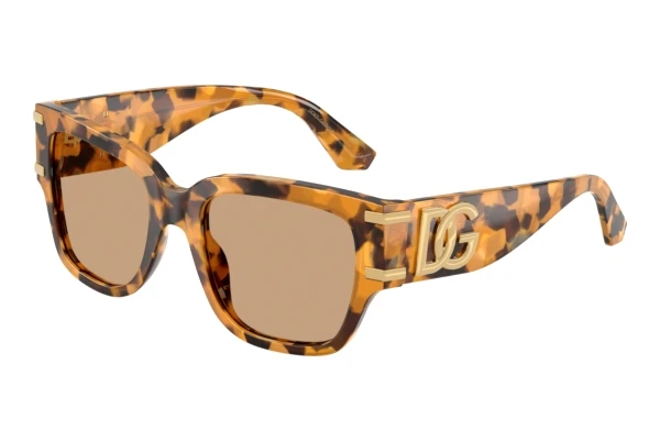 Sonnenbrille Dolce & Gabbana DG4563 349663