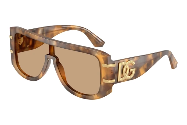 Sonnenbrille Dolce & Gabbana DG4565 349663