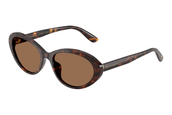 Sonnenbrille Dolce & Gabbana DG4570 502/73