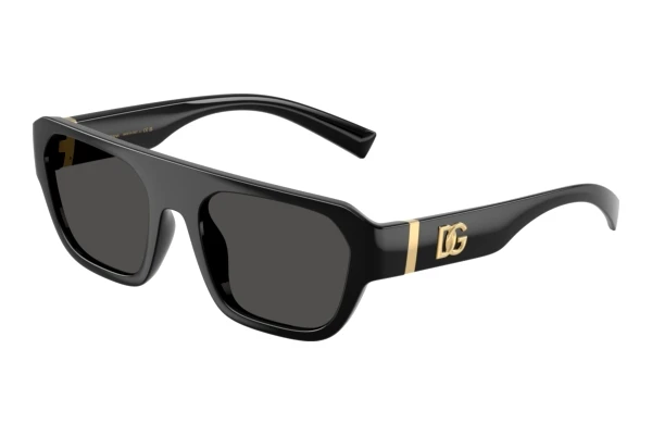 Sonnenbrille Dolce & Gabbana DG6206 501/87
