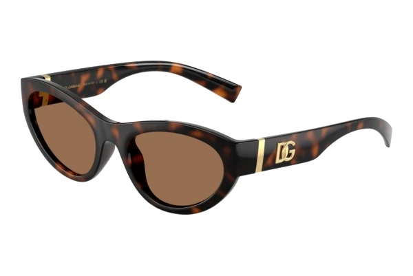 Sonnenbrille Dolce & Gabbana DG6207 502/73
