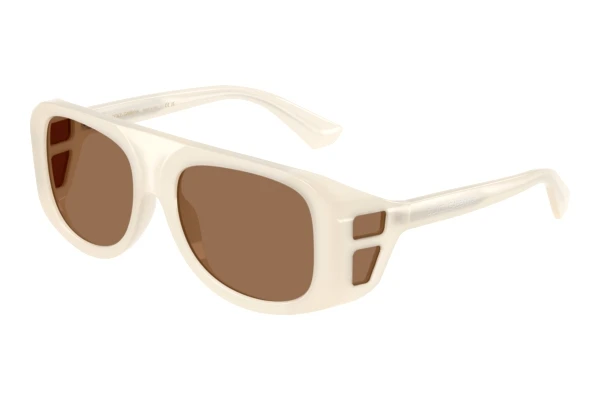 Sonnenbrille Dolce & Gabbana DG6208 303973
