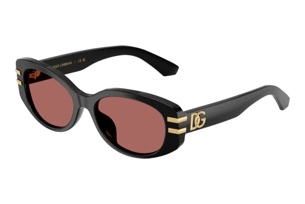 Sonnenbrille Dolce & Gabbana DX4014 501/69