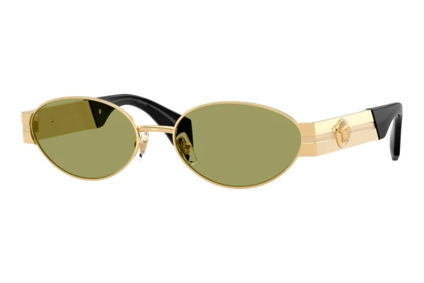 Sonnenbrille Versace VE2301 152382