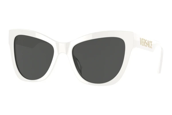 Sonnenbrille Versace VE4417U 314/87