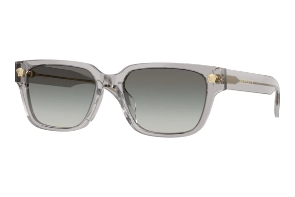 Sonnenbrille Versace VE4513D 593/11