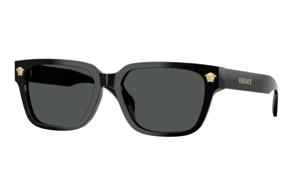 Sonnenbrille Versace VE4513D GB1/87